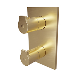 FACADE DOUCHE OMEGA 2 SORTIES OR BROSSE