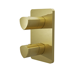 FACADE EXTERNE PROFILO LAITON THERMOSTATIQUE 2 SORTIES OR BROSSE